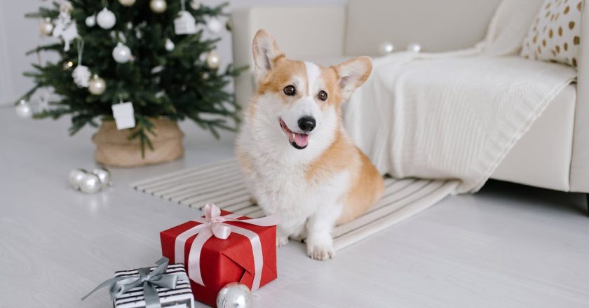 Heartfelt Holidays: The Unspoken Magic of Celebrating with Our Furry Companions